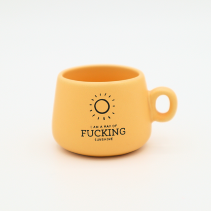 I Am A Ray of Fucking Sunshine - Mug Shot Glass