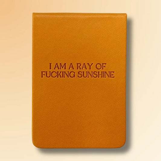 Ray Of Fucking Sunshine Leatherette - Pocket Journal